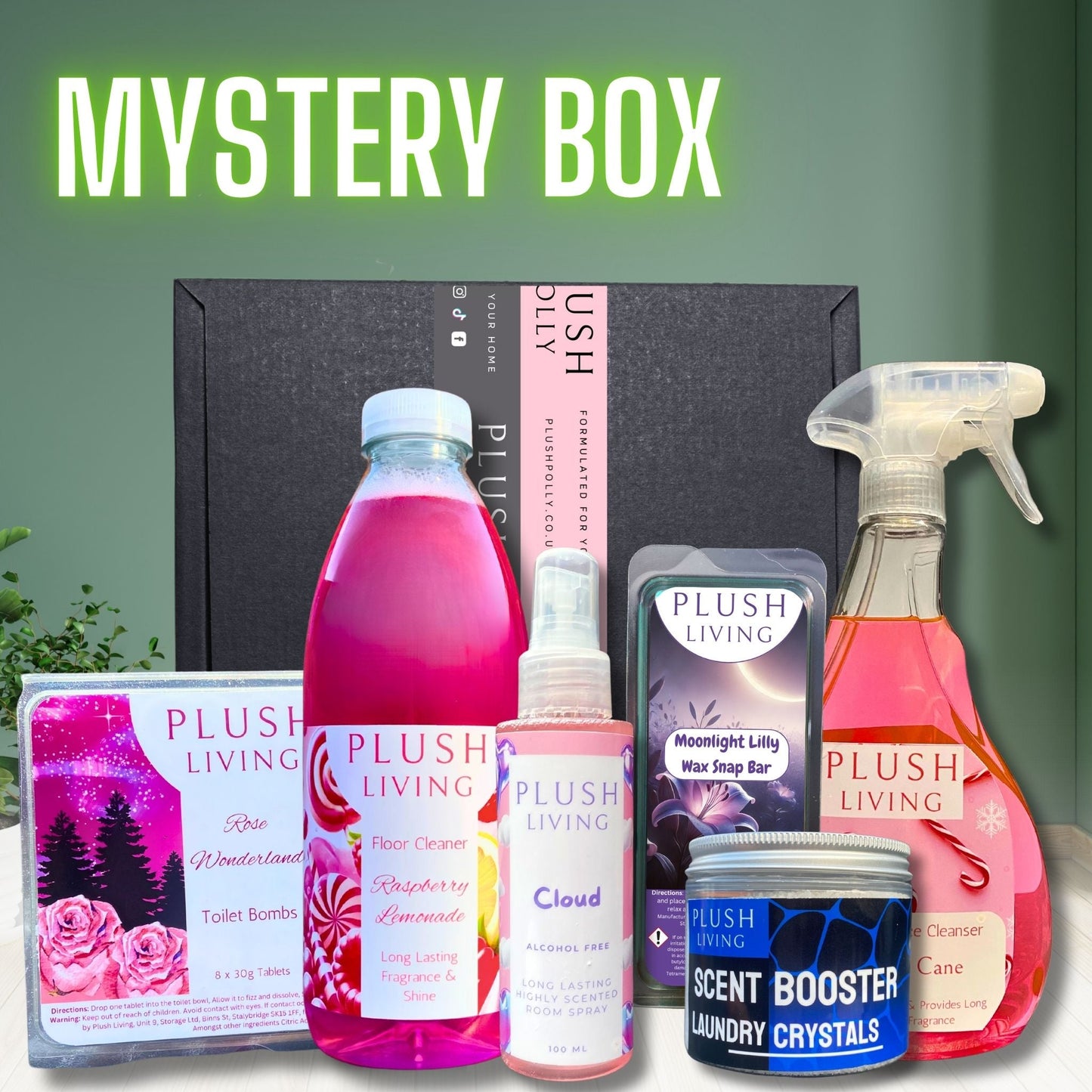 Plush Living Mystery Box